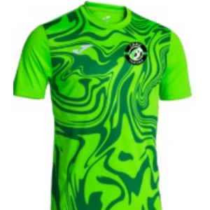 maillot lion ii 103729.020
